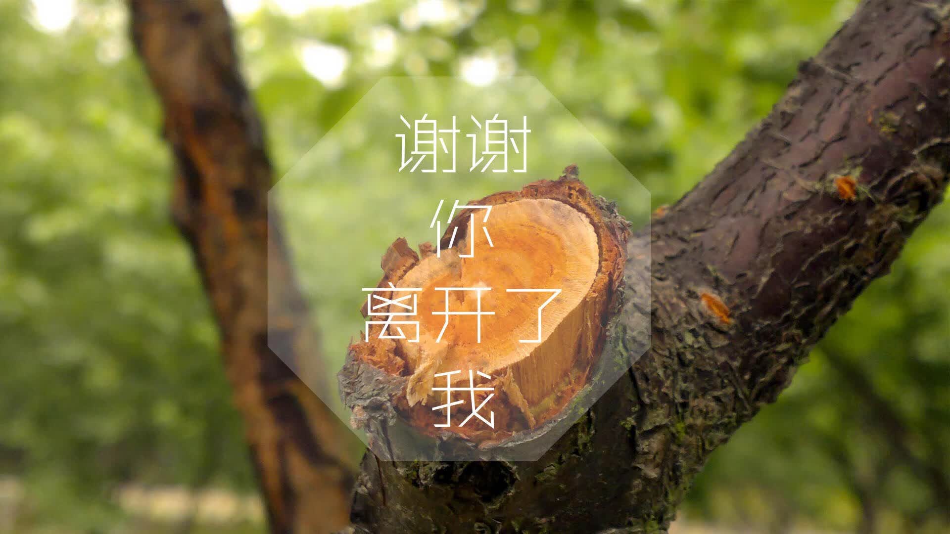 世界乒乓球联赛青训导师国际交流影像集第9版上线，乒乓球世界青年锦标赛冠军